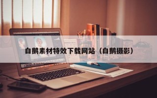 泉州白鹅素材特效下载网站（白鹅摄影）